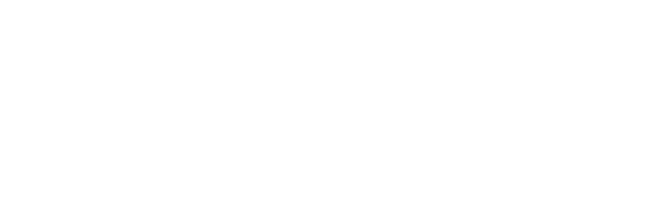 The Do It For Yourself Project Coaching